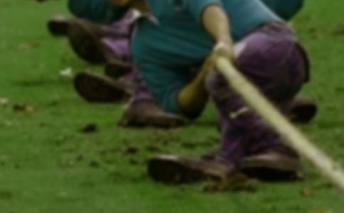 (精)拔河比赛活动方案