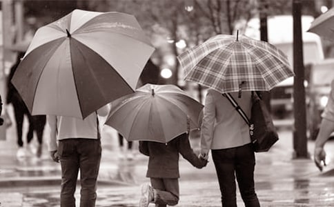 我的爸爸妈妈教案20篇