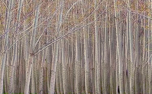 Сѧ���İ����ѧ��˼