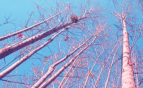 ��������У����������ⷢչ�㱨����