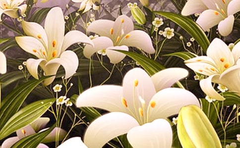 ���ٺϻ����̰�