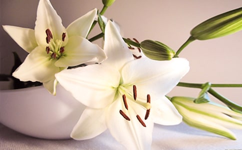 �ٺϻ�����