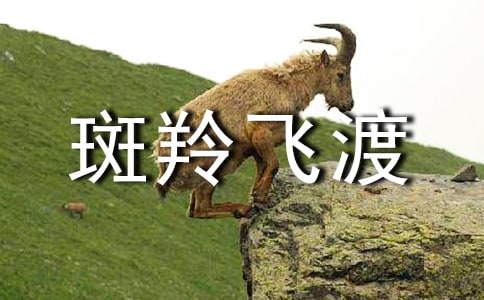 ������ɶɡ��̰���ѡ15ƪ