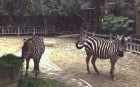 ���ð����߹����½�����ͨ��