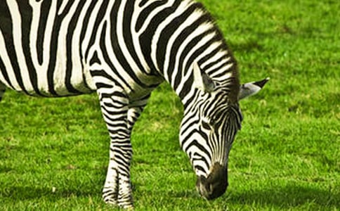 С�������·�ϵİ����߽̰�