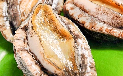 素鲍鱼的营养价值