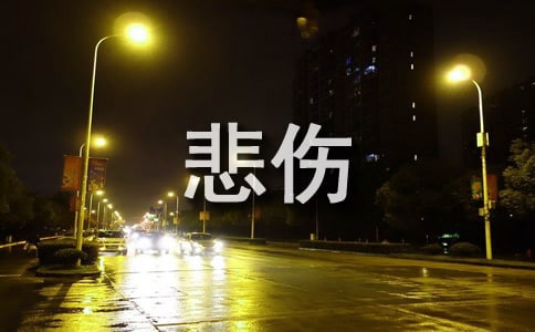 ���䱯�˵���¼39��