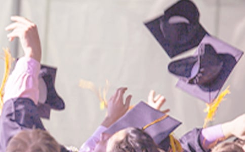 ��ҵ����ܽ�