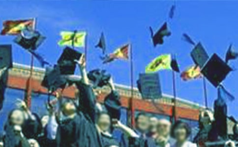 ���ϼ�����ҵ����ܽ���չ��5ƪ