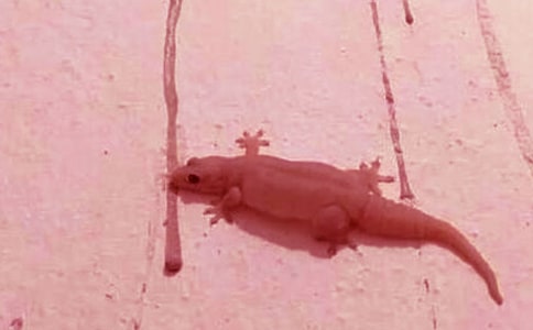 С�ڻ���β�ͽ̰�����˼