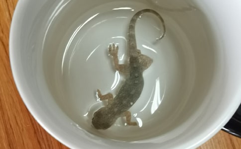 ��С�ڻ���β�͡��̰�����˼