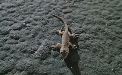 ��С�ڻ���β�͡�����̰������ƪ