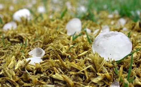 ��������Ӧ��Ԥ��(15ƪ)