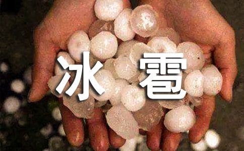 ��������Ӧ��Ԥ��8ƪ