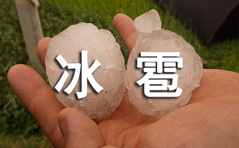 ��������Ӧ��Ԥ��