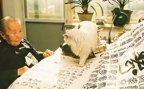 ������¼30�侫ѡ