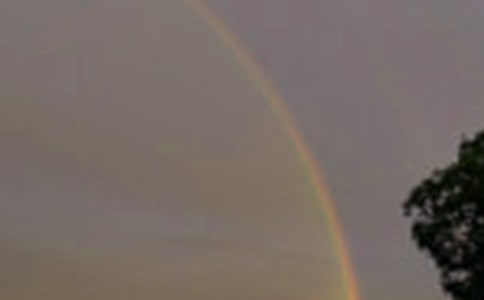 ��ཡ������Ĳʺ�ɡ�̰�