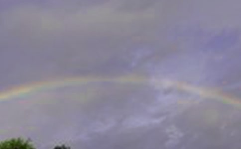 《彩虹色的花》教案