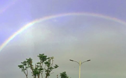 ���ʺ硷�̰�