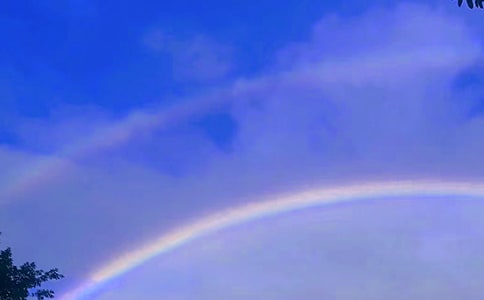 �ʺ�ɫ�Ļ��̰�