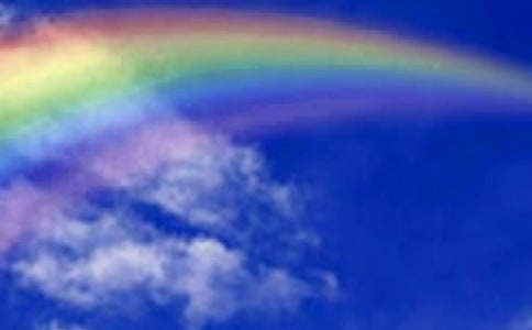 绘本《彩虹的尽头》教案