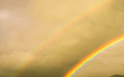 ������Խ̰����ʺ�ɫ�Ļ�