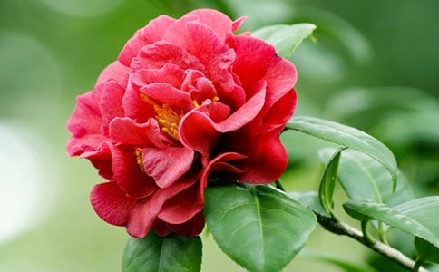 �軨���̼۸����ͼƬ