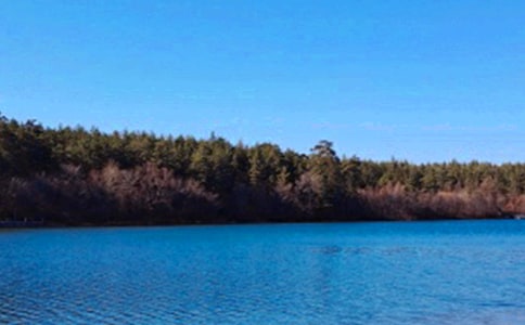 ����ɽ���̼۸����ͼƬ_����ɽ���̱��۶���Ǯ