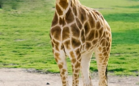 С�������̰�������¹�����ѡ�