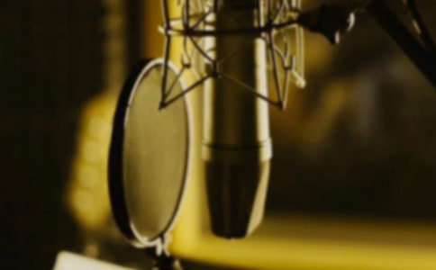 小动物唱歌教案