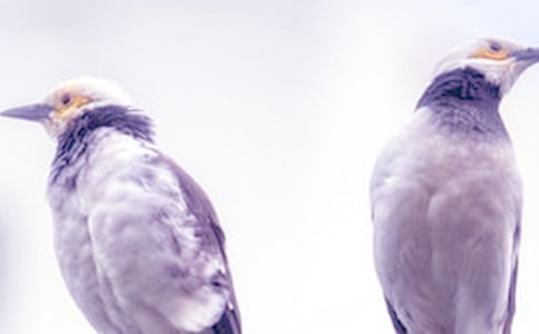 情侣吵架检讨书