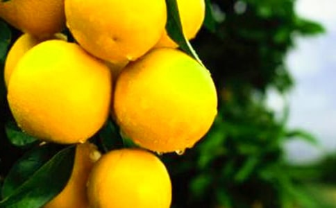 ���ӱ�����˼