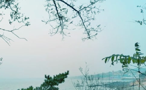 阿克苏春风行动总结