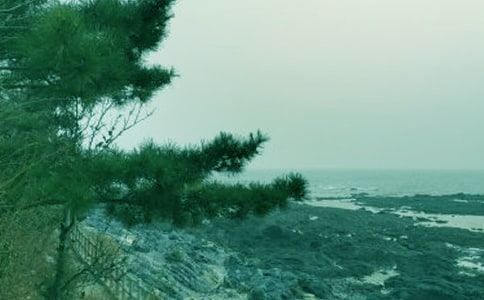 春风行动工作范文