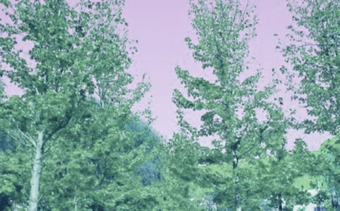 �����ж��ƻ��뷽��