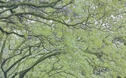 2017�����ж��ܽ�㱨