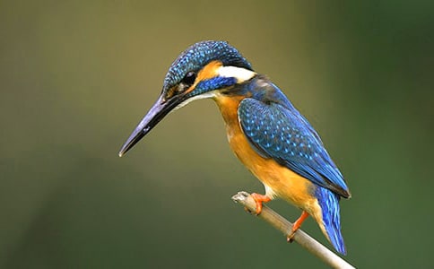 �������Ĵ����ѧ��˼