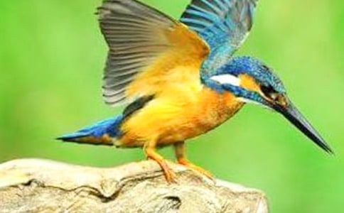 ���Ĵ����ѧ��˼