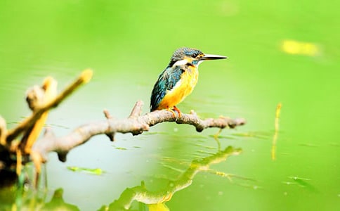 Сѧ���꼶���ġ����񡷽�ѧ��˼