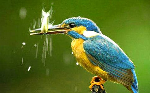 ���ġ����񡷽̰�