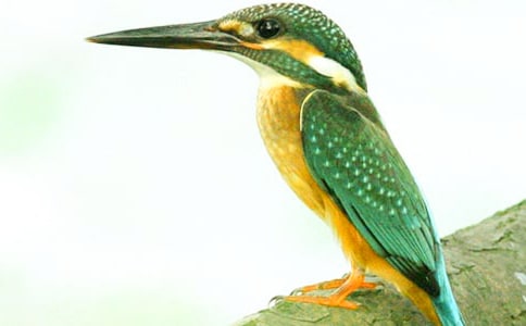 ���꼶���ġ����񡷽�ѧ��˼