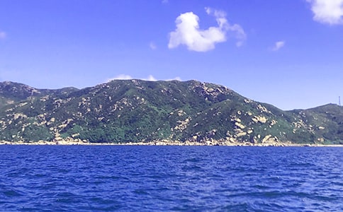 《大海是什么颜色》的教案