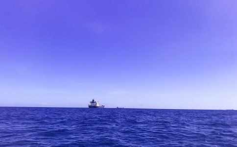 苏教版一年级上册《大海睡了》教案