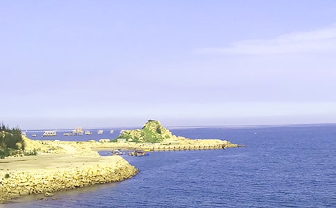 苏教版一年级上册的教案:大海睡了