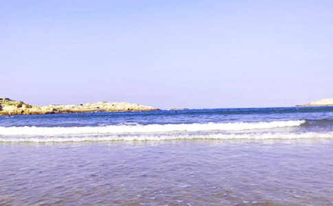 С�����������Ĵ󺣽̰�