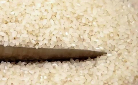 ����������ͬ12ƪ