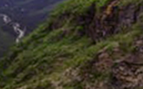 �����ֵĴ�ɽ���̰�