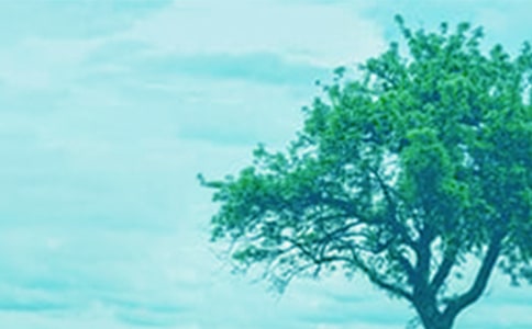 С�ݺʹ����̰�