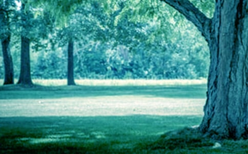 ������С���а�����̰�