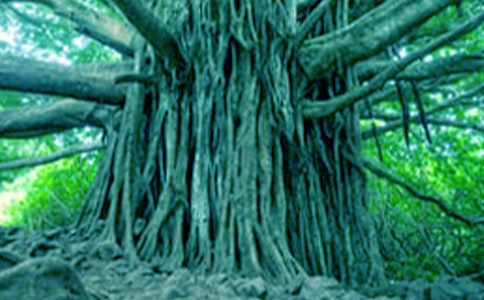 �а������̰��������Ĵ���